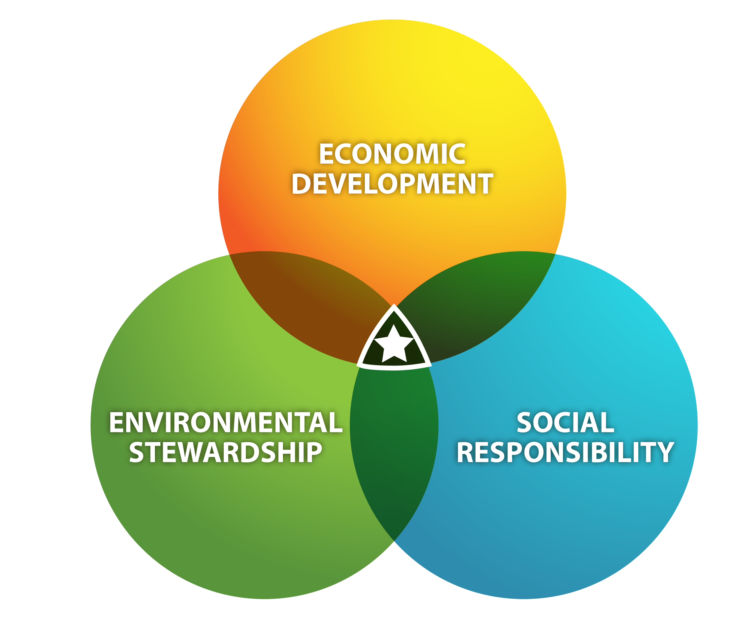 environmental stewardship examples